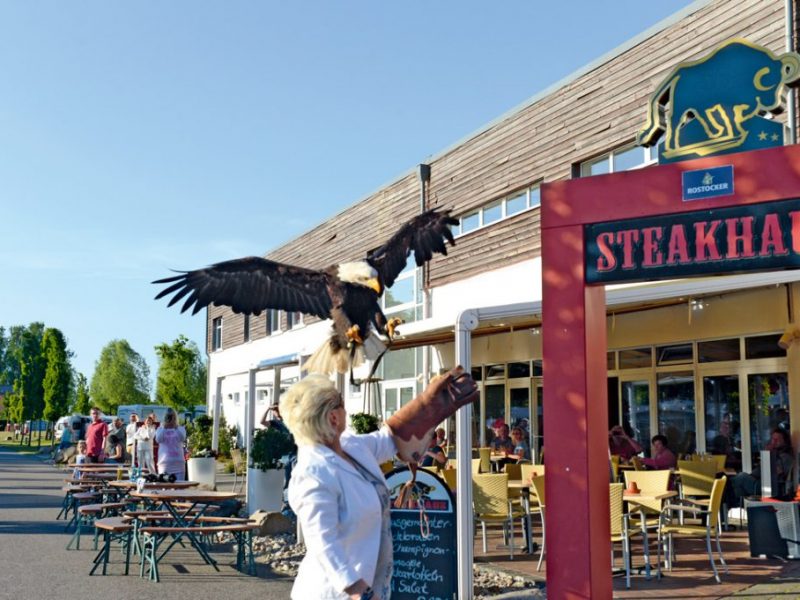 Steakhaus Restaurant und Bar
