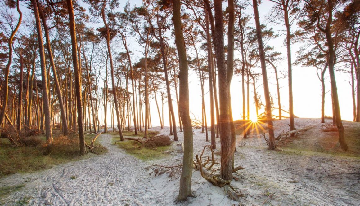 Jahresausklang_Zingst