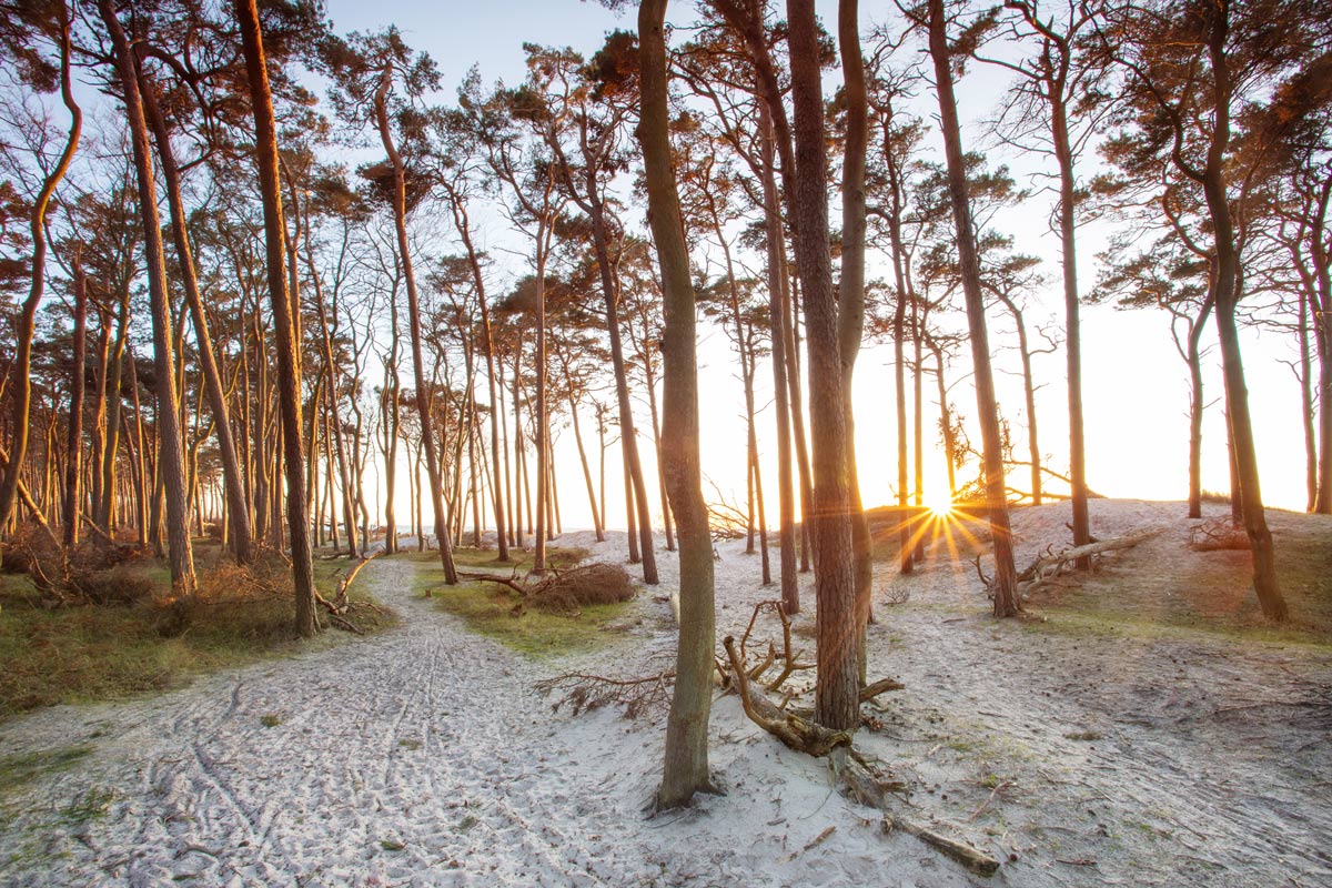 Jahresausklang_Zingst